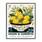 Stupell Industries Charming Bowl of Lemons Framed Giclee Design by Lux + Me Designs